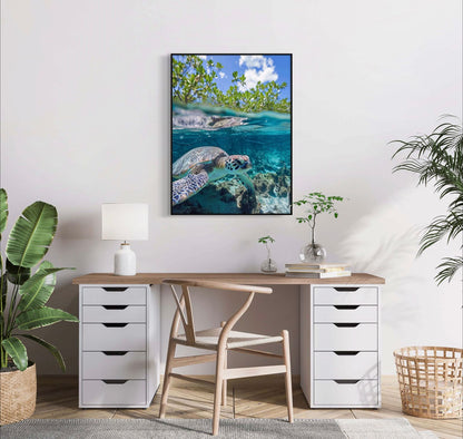 Canvas Prints, Art Space, Turtle, Poster Prints